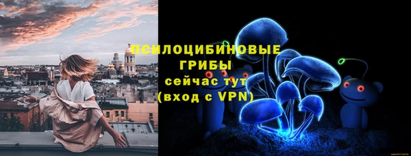 a pvp Абаза