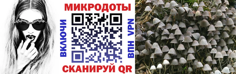 Галлюциногенные грибы мицелий  Бавлы 